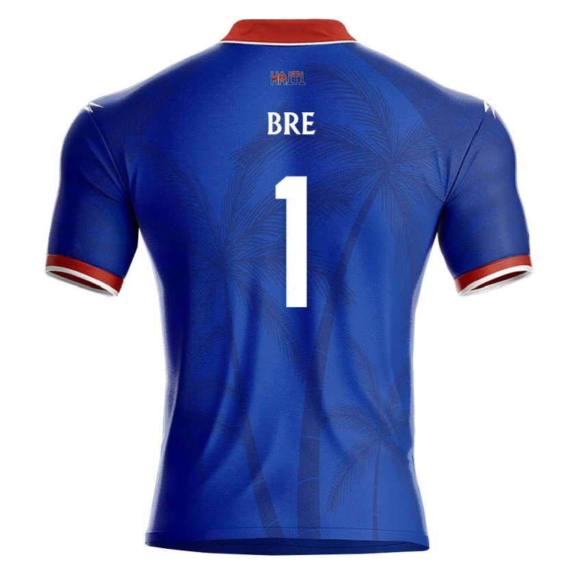Danxen Hombre Camiseta Haití Carlos Bre #1 Azul Rojo Blanco 1ª Equipación 26-28 La Camisa México