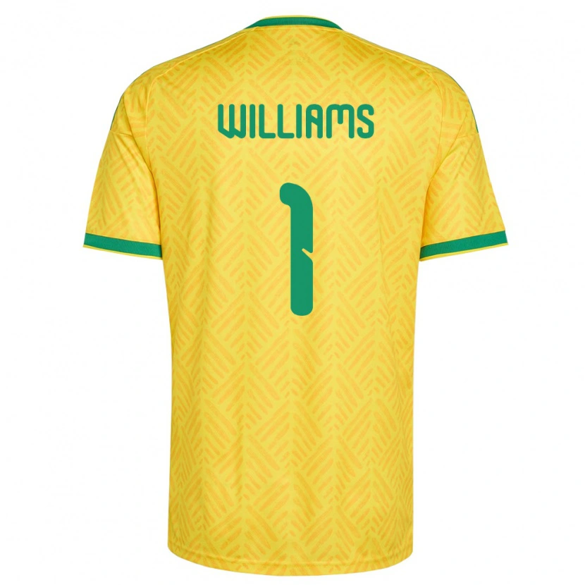 Danxen Hombre Camiseta Sudáfrica Ronwen Williams #1 Amarillo Verde 1ª Equipación 26-28 La Camisa México