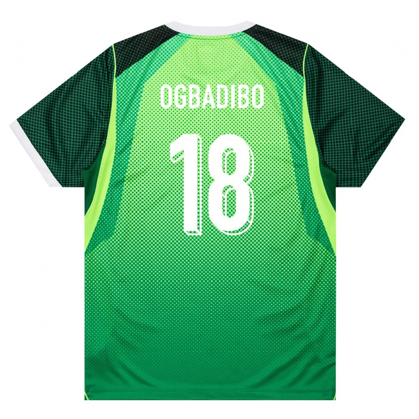 Danxen Hombre Camiseta Nigeria Tochukwu Ogbadibo #18 Verde Blanco 1ª Equipación 26-28 La Camisa México