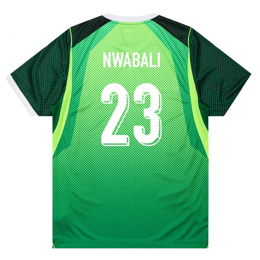 Danxen Hombre Camiseta Nigeria Stanley Nwabali #23 Verde Blanco 1ª Equipación 26-28 La Camisa México