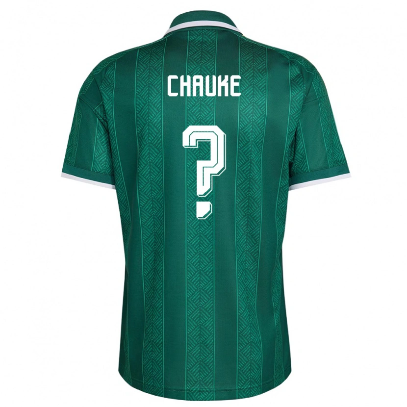 Danxen Hombre Camiseta Sudáfrica Kegs Chauke #0 Verde Blanco Oro 2ª Equipación 26-28 La Camisa México