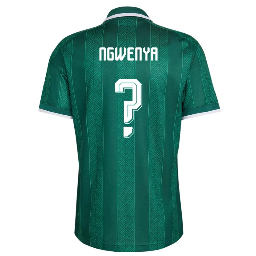 Danxen Hombre Camiseta Sudáfrica Siphamandla Ngwenya #0 Verde Blanco Oro 2ª Equipación 26-28 La Camisa México