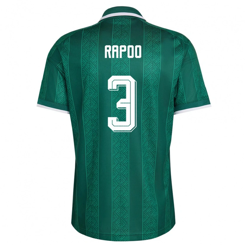 Danxen Hombre Camiseta Sudáfrica Neo Rapoo #3 Verde Blanco Oro 2ª Equipación 26-28 La Camisa México
