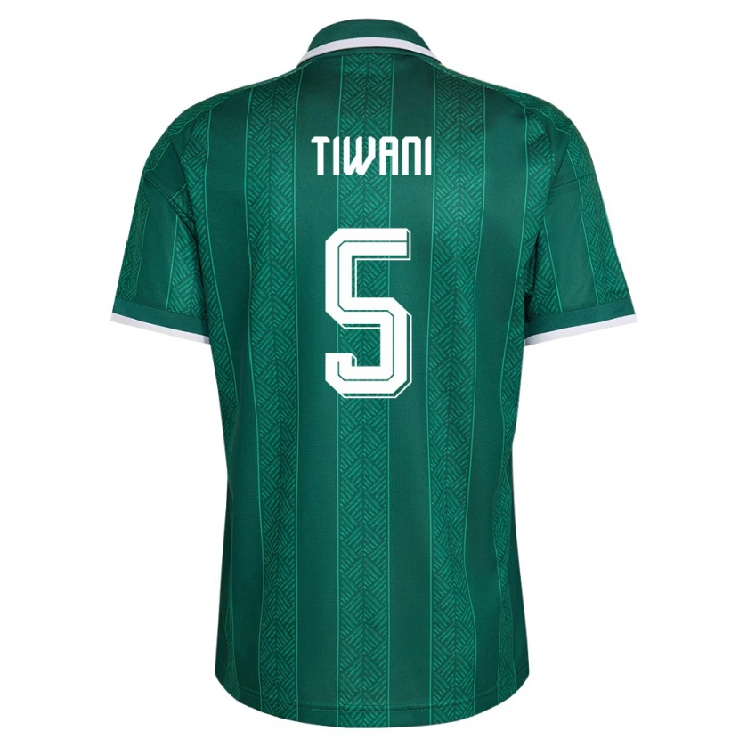 Danxen Hombre Camiseta Sudáfrica Asekho Tiwani #5 Verde Blanco Oro 2ª Equipación 26-28 La Camisa México