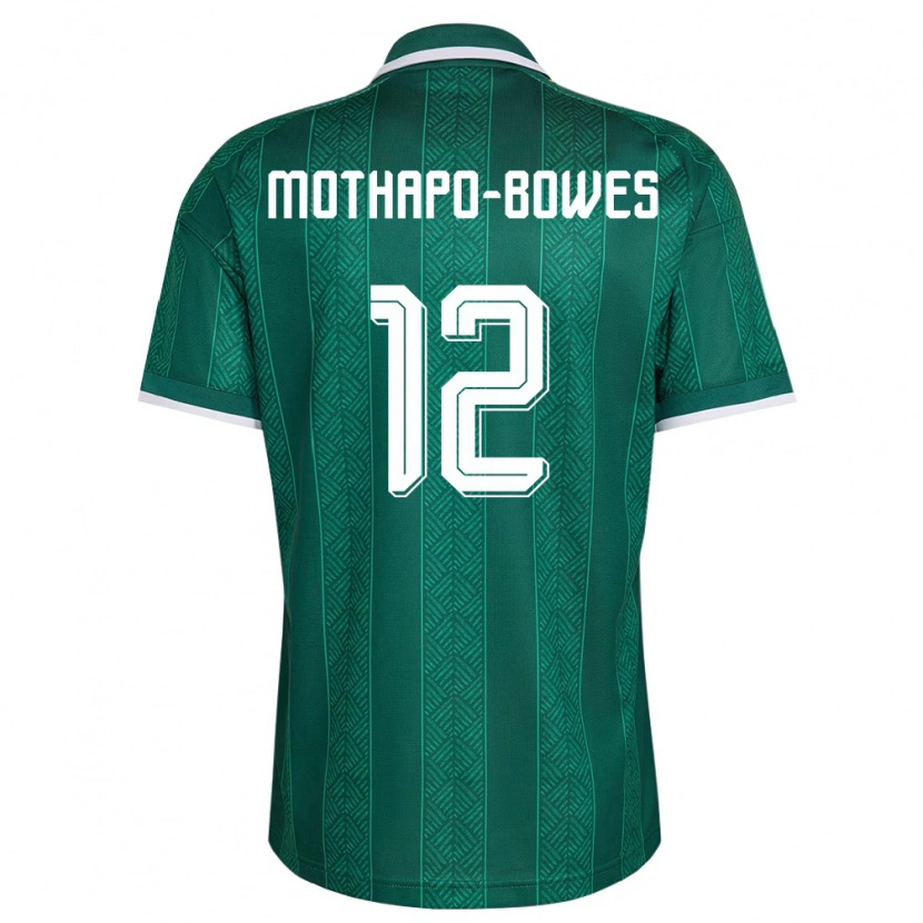 Danxen Hombre Camiseta Sudáfrica Tumi Mothapo-Bowes #12 Verde Blanco Oro 2ª Equipación 26-28 La Camisa México