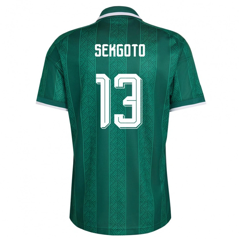 Danxen Hombre Camiseta Sudáfrica Omphemetse Sekgoto #13 Verde Blanco Oro 2ª Equipación 26-28 La Camisa México