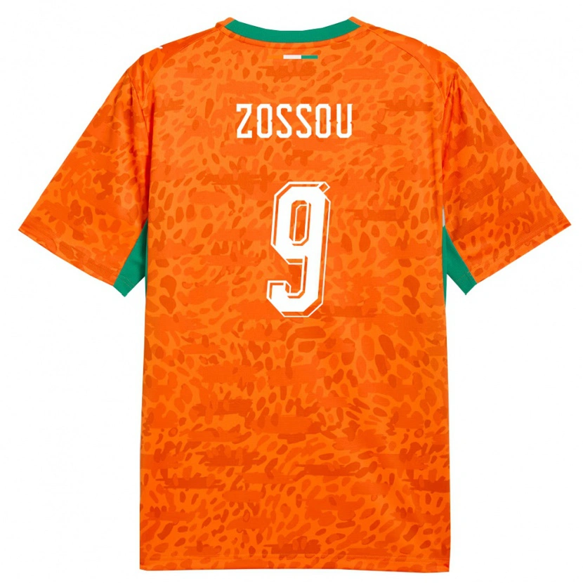 Danxen Mujer Camiseta Costa De Marfil Aristide Zossou #9 Naranja Verde Blanco 1ª Equipación 26-28 La Camisa México