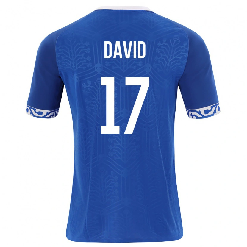 Danxen Mujer Camiseta Moldavia Ovidiu David #17 Azul Real Blanco 1ª Equipación 26-28 La Camisa México