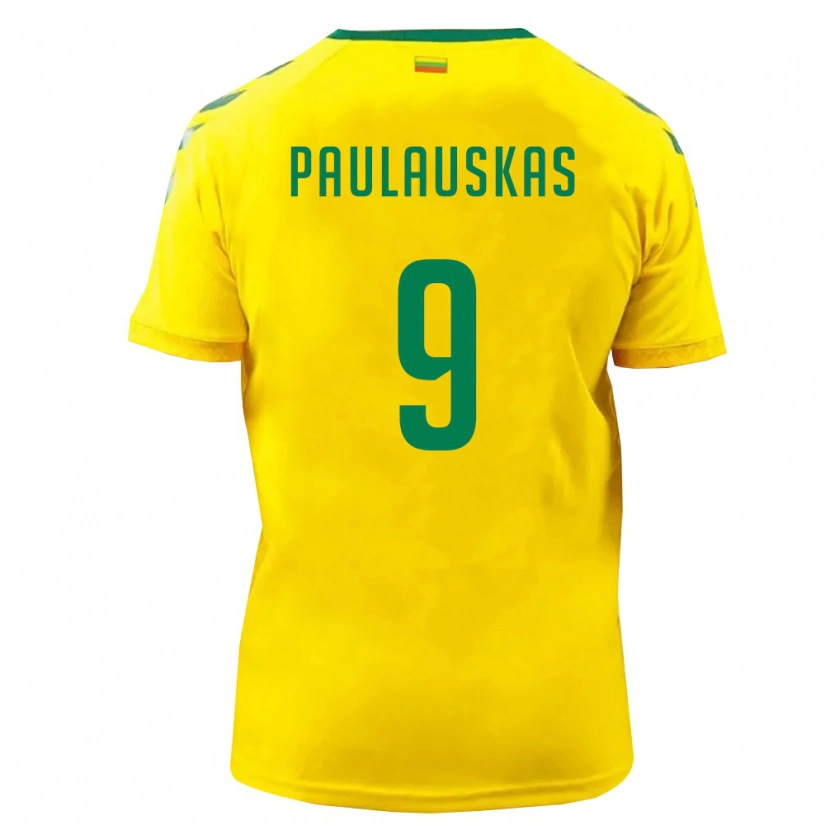 Danxen Mujer Camiseta Lituania Gytis Paulauskas #9 Amarillo Verde 1ª Equipación 26-28 La Camisa México