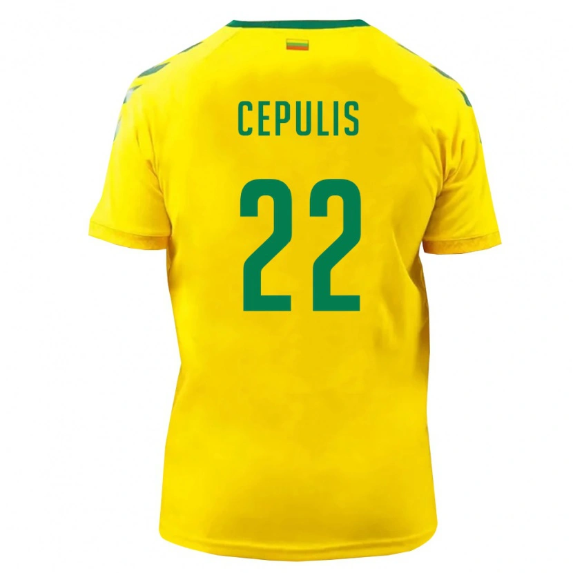 Danxen Mujer Camiseta Lituania Kristupas Cepulis #22 Amarillo Verde 1ª Equipación 26-28 La Camisa México