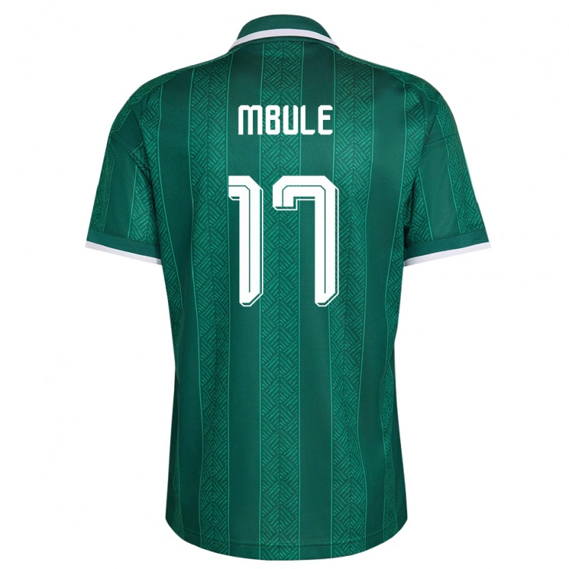 Danxen Mujer Camiseta Sudáfrica Sipho Mbule #17 Verde Blanco Oro 2ª Equipación 26-28 La Camisa México