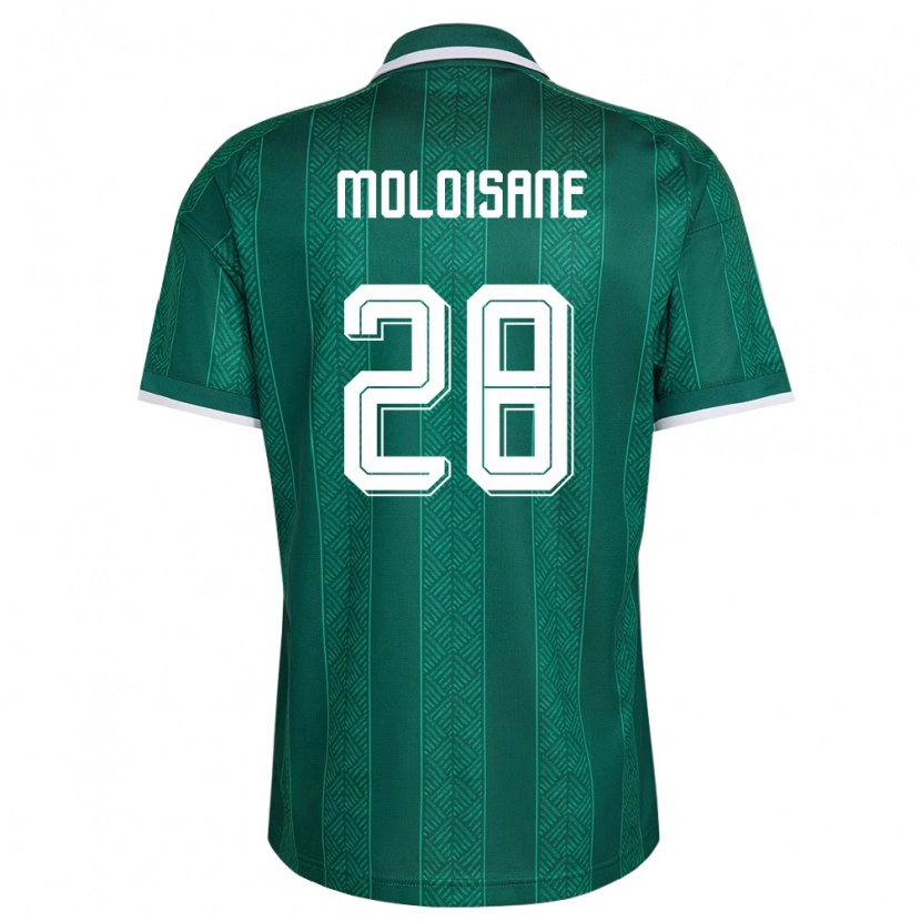 Danxen Mujer Camiseta Sudáfrica Thabo Moloisane #28 Verde Blanco Oro 2ª Equipación 26-28 La Camisa México