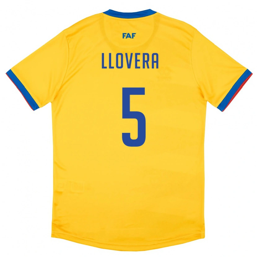 Danxen Mujer Camiseta Andorra Max Llovera #5 Amarillo Azul Rojo 2ª Equipación 26-28 La Camisa México