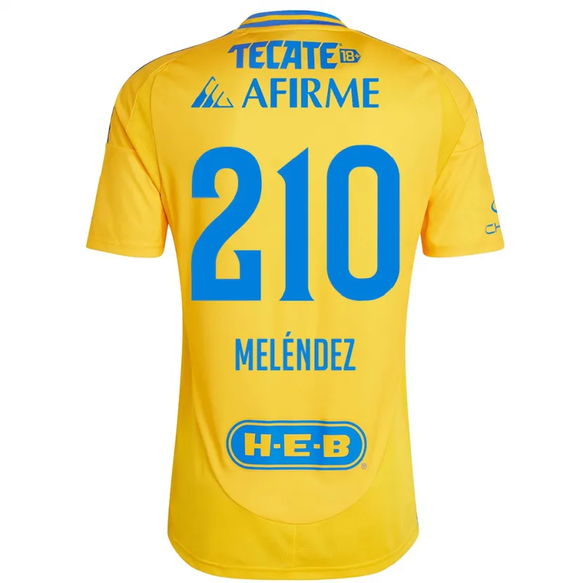 Danxen Niño Camiseta Marcelo Meléndez #210 Oro Amarillo 1ª Equipación 2024/25 La Camisa México