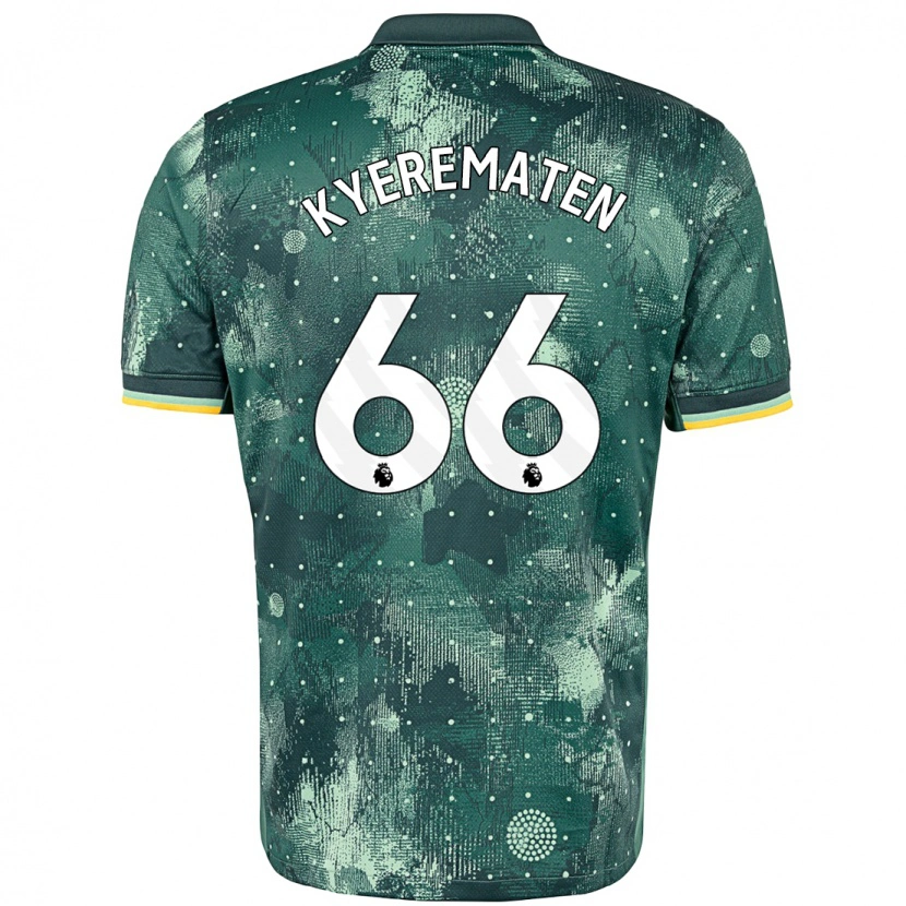 Danxen Mujer Camiseta Rio Kyerematen #66 Verde Menta Equipación Tercera 2024/25 La Camisa México