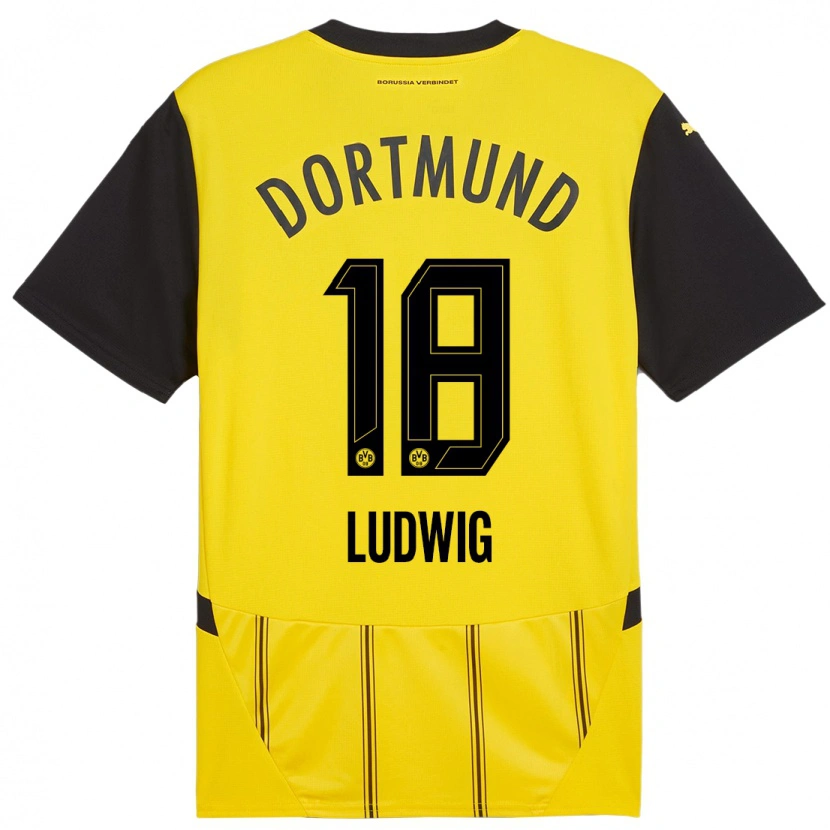 Danxen Niño Camiseta Michel Ludwig #18 Amarillo Negro 1ª Equipación 2024/25 La Camisa México