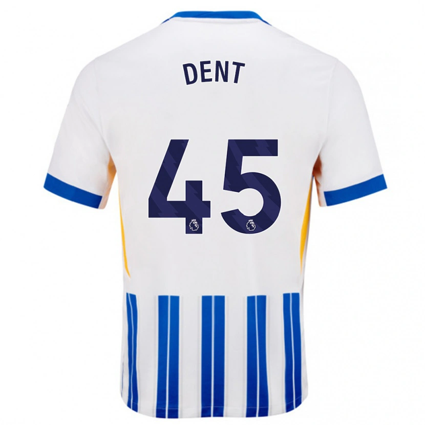 Danxen Mujer Camiseta Lily Dent #45 Blanco Azul Rayas 1ª Equipación 2024/25 La Camisa México