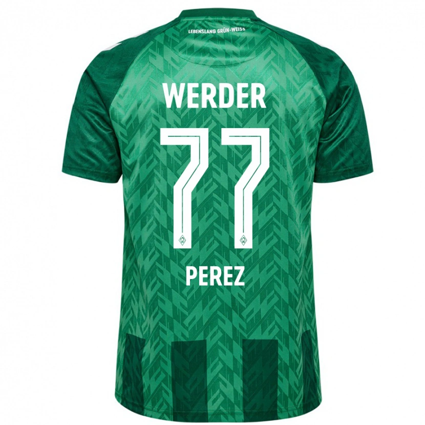 Danxen Mujer Camiseta Catalina Pérez #77 Verde 1ª Equipación 2024/25 La Camisa México