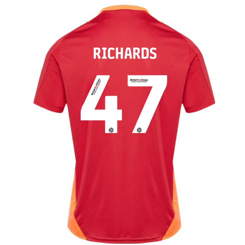 Danxen Niño Camiseta Jake Richards #47 Azul Blanquecino 2ª Equipación 2024/25 La Camisa México