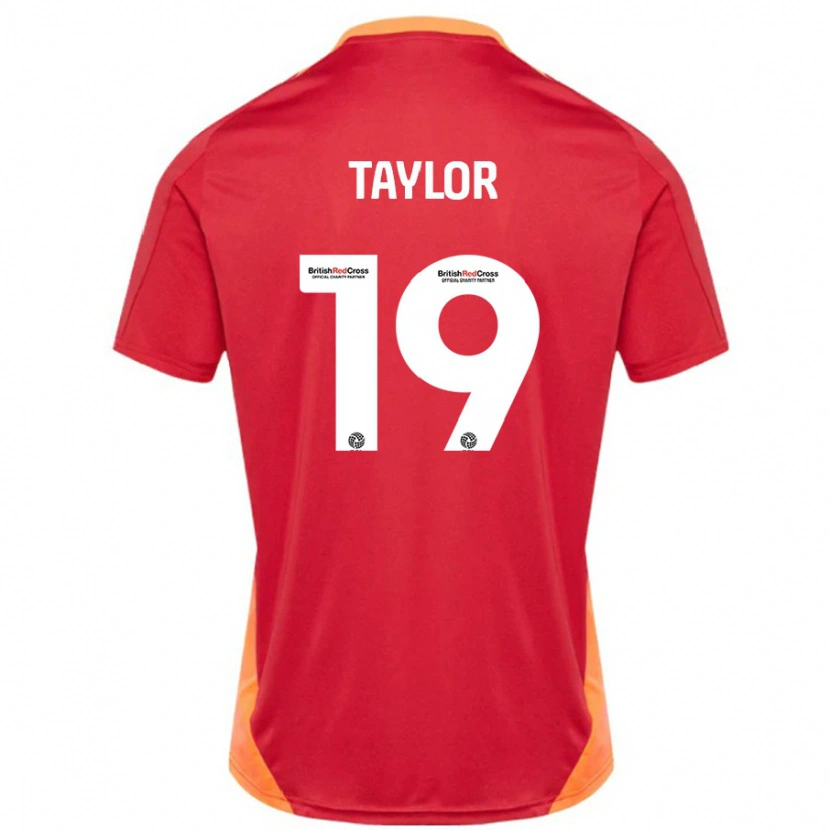 Danxen Niño Camiseta Mollie Taylor #19 Azul Blanquecino 2ª Equipación 2024/25 La Camisa México