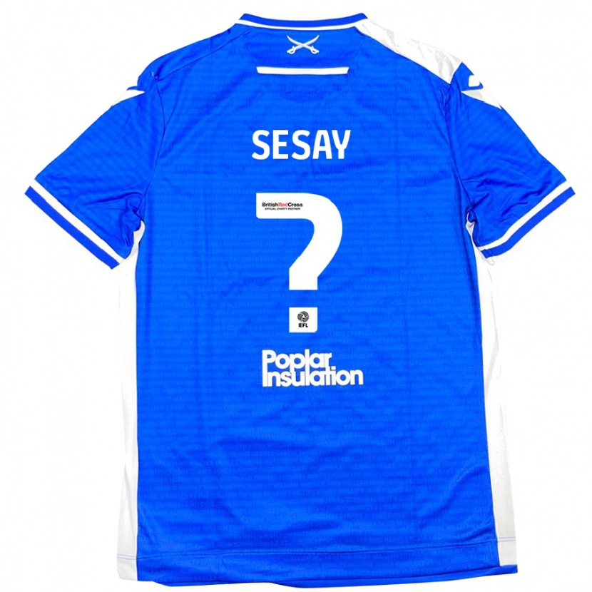 Danxen Mujer Camiseta Malik Sesay #0 Azul Blanco 1ª Equipación 2024/25 La Camisa México